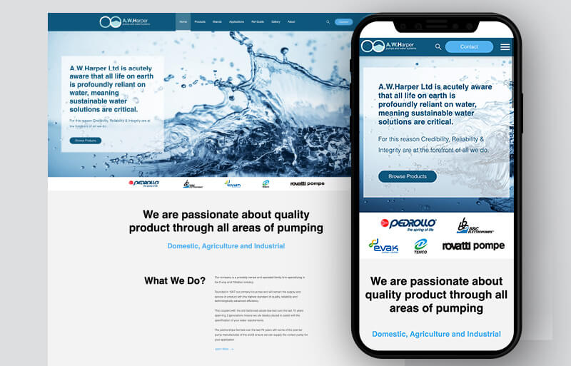 Website design